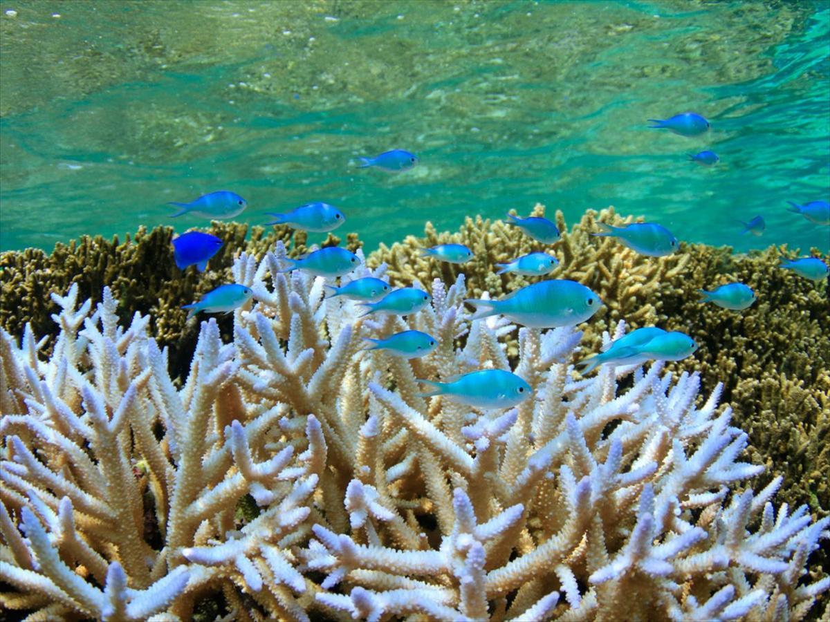 Hotel Seabreeze Coral Miyakojima  Exterior photo